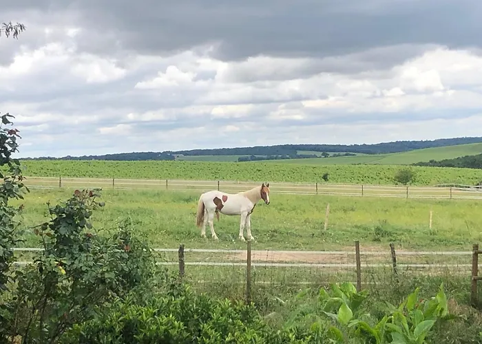 Prázdninový dům Val Du Lys *